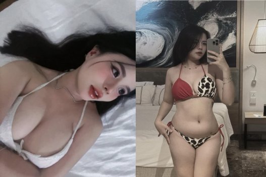 Video heo em mũm mĩm không đụ hơi phí